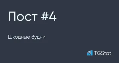 Шкодные и смешные: 13 пушистых проказников, которых поймали с поличным |  VOICE | Дзен