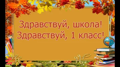 Минпросвещения: Школы не должны требовать лишних справок при приеме в 1  класс - Российская газета