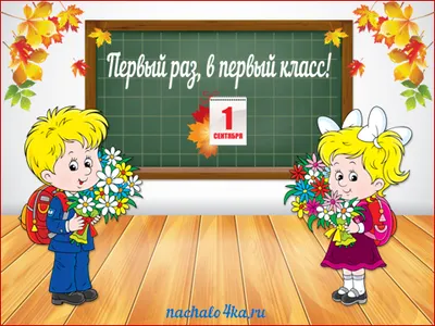 Порядок приема в 1 класс - Школа №2 имени М.И. Талыкова