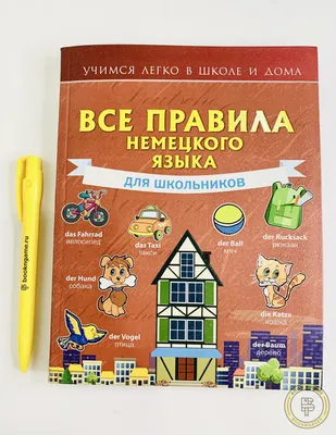 Три кита нового директора: руководитель Тверского театра кукол Виталий  Салтыков рассказал о своих планах | официальный сайт «Тверские ведомости»