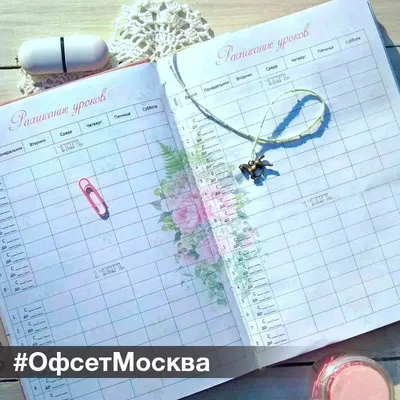 9 отличий советского школьного дневника от российского | Вещи говорят | Дзен