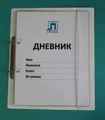 Оценки, поведение и опрятность: эволюция школьного дневника с 1980-х до  нашего времени