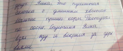 Не выбрасывайте старые школьные тетради. Показываю, сколько можно зарабоать  с них. | Иван Васильев | Дзен