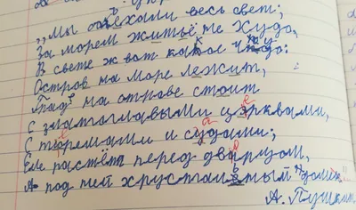 Тетрадь школьная желтая №1 School Интенсив А5 12 листов в клетку (10 штук в  упаковке) – выгодная цена – купить товар Тетрадь школьная желтая №1 School  Интенсив А5 12 листов в клетку (