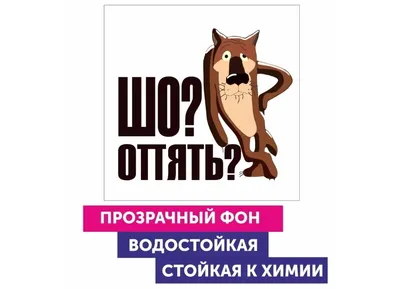 Шо, опять?!