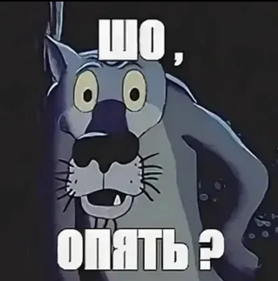 Наклейка на унитаз, стену, кафель или плитку в туалете или ванной ШО? ОПЯТЬ?  купить по выгодной цене в интернет-магазине OZON (373286690)