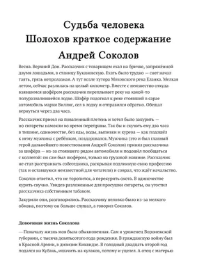  - Они сражались за Родину. Судьба человека. | Шолохов  Михаил Александрович | 978-5-9268-2780-1 | Купить русские книги в  интернет-магазине.