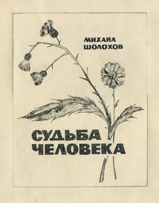 Обзор «Как хорошо на свете без войны» М. Шолохов «Судьба человека» -  Некрасовская центральная библиотека