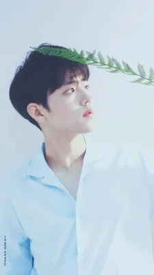 Сяо Чжань сидит на сухой траве на фоне смятого белого листа в бело-голубом платье HD Мальчики Обои | HD-обои | ID №67880