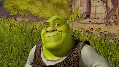 Создать мем "ищут факелами шрека, shrek meme, шрек смешное лицо" - Картинки  - 