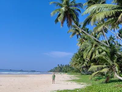 Сколько стоит отдохнуть на Шри-Ланке: 16 вариантов с описанием и ценами |  РБК Life