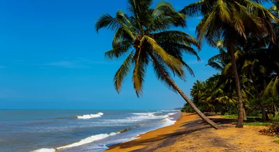 Шри Ланка, Отдых на море и озерах — Джет Тревел