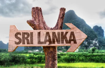Россиянка рассказала про отдых на Шри-Ланке после революции, безопасно ли  сейчас на Шри-Ланке — отзывы туристов про отдых -  - НГС.ру
