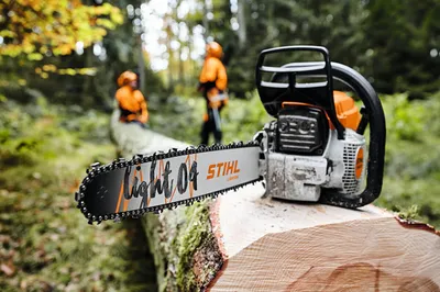 Stihl Mini Chainsaw and Pole Pruner review — Laetitia Maklouf