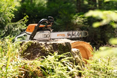 A Guide to STIHL Chainsaw Guide Bars | STIHL Blog