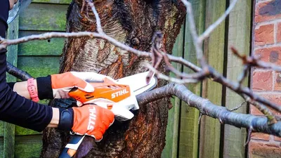 CHAINSAW, Stihl MS-250 %5 OFF!!! Discounts @ CHECKOUT!!! FREE SHIPPING –  Agri Products