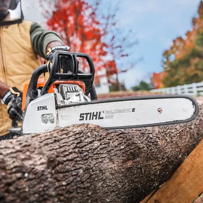 MS 170 Chainsaw | Compact Lightweight Chainsaw | STIHL USA