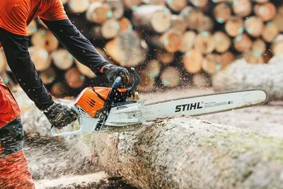 Mass furlough at Virginia Beach-based chainsaw manufacturer Stihl - World  Socialist Web Site