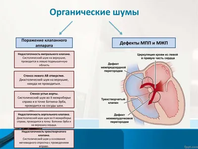 Форум «Шум»: студенты смогут открыть мир медиаиндустрии и посетить  Калининград