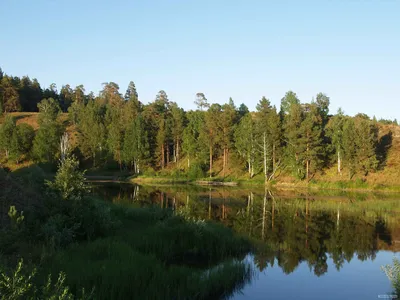 Что за шутки у природы (Алиса Бадусова) / Стихи.ру