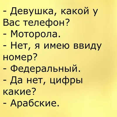 Звездный час Деда Мороза. Сногсшибательные шутки и анекдоты про Новый год -  Газета «Караван Ярмарка»