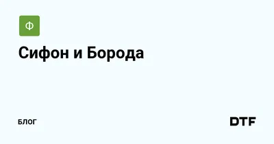 Сифон и Борода: в центре Сочи бездомные раскинули палаточный лагерь