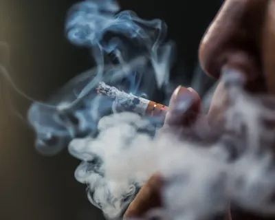 Подделка сигарет в России может стать уголовным преступлением | Ямал-Медиа
