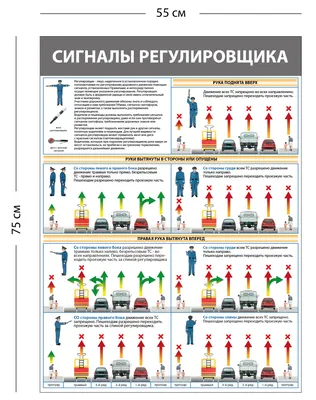 Сигналы регулировщика движения!