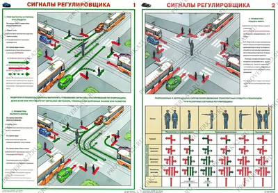 Тема 6.2. Сигналы светофора и регулировщика. Сигналы регулировщика -  Учебник - Автошкола ХАЙВ!