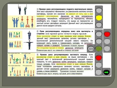 Сигналы и жесты регулировщика в картинках с пояснениями в 2020 году — для  пешеходов и водителей, ПДД » АвтоШкола »  : интернет-журнал про  автомобили