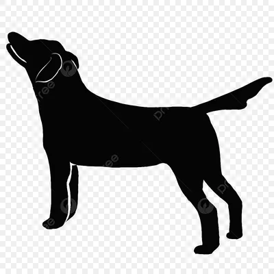 Силуэт собаки в состоянии готовности PNG , Собака, Лай, Наоо PNG картинки и  пнг PSD рисунок для бесплатной загрузки