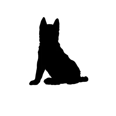 Наклейка на авто Лайка силуэт собаки черный пёс - купить по выгодным ценам  в интернет-магазине OZON (711161141)