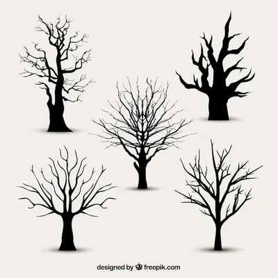Силуэты деревьев без листьев | Премиум векторы
