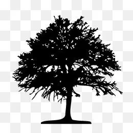 дерево силуэт PNG , силуэты деревьев, силуэт, дерево черный PNG картинки и  пнг PSD рисунок для бесплатной загрузки