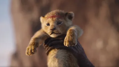 Создать мем "mufasa and simba, картинки король лев кион, симба и кову" -  Картинки - 