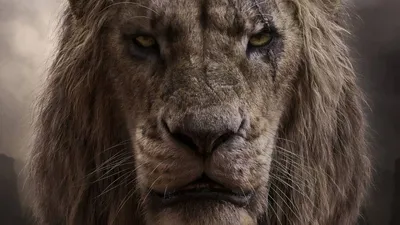 Мультяшный король лев - 69 фото