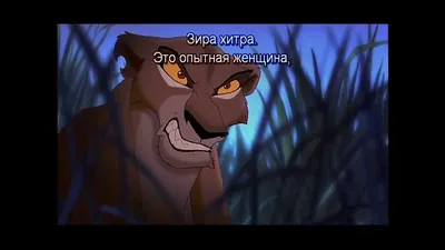 Мультфильм Король Лев 2: Гордость Симбы (1998): описание, содержание,  интересные факты и многое другое о мультфильме