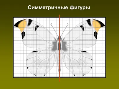 Осевая и центральная симметрия. Параллельный перенос, поворот – как  движение плоскости – онлайн-тренажер для подготовки к ЕНТ, итоговой  аттестации и ВОУД