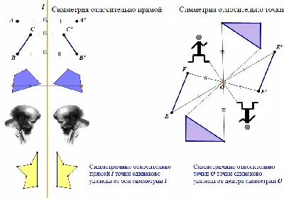 10 превосходных примеров симметрии в природе » 