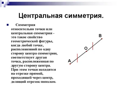 Симметрия вокруг нас | Проекты