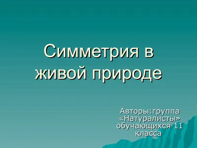 Картинки зеркальная симметрия в природе (70 фото) » Картинки и статусы про  окружающий мир вокруг