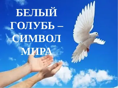 Символ мира: ОДДР запускает новый конкурс - Общественное Движение "Донецкая  Республика"