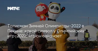 Талисман Зимней Олимпиады-2022 в Пекине: какой символ у Олимпийских игр-2022,  что он означает