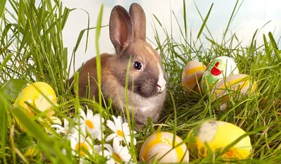 СЕЛЬСКАЯ БИБЛИОТЕКА: Happy Easter! Buona Pasqua! Fridfull påsk! ПАСХА в  зарубежных библиотеках: символы, события, мастер-классы