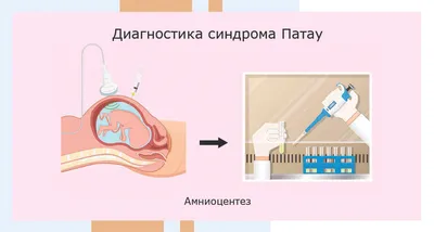 Василиса стала долгожителем в 2,5 года | Дедморозим