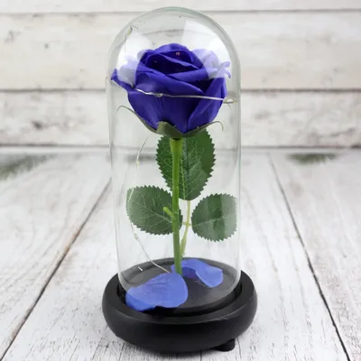 Купить Ночник вечная роза Искусственная роза под стеклянным куполом С Led  подсветкой Синего цвета (Живые фото), цена 582 грн —  (ID#1611967314)