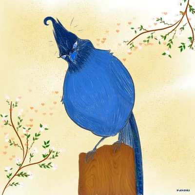 Синяя птица — Википедия