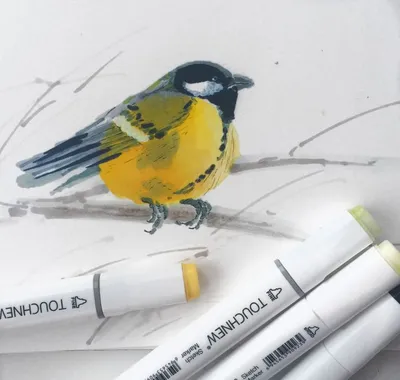 Птичка синичка рисунок - 80 фото