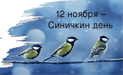 12 ноября — Синичкин день — Заповедник Черные земли — Официальный сайт