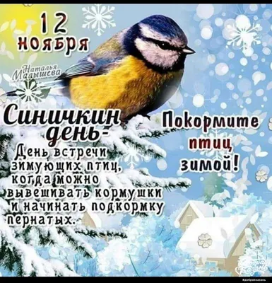 В рамках Года Экологии расскажем про Экологический праздник - Синичкин день